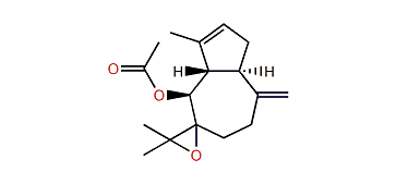 (1S,5R,6R)-7,11-Epoxyguaia-3,10(15)-dien 6-acetate